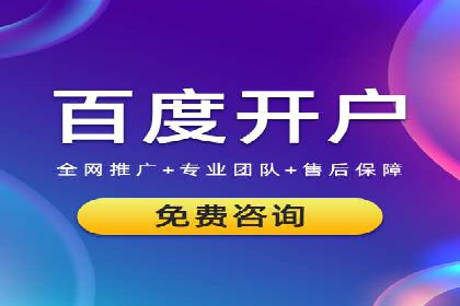 成功运用SEM服务实现品牌推广的案例分析